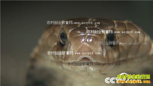 [�¸���]�����¸ɺ�־����������300��Ԫ