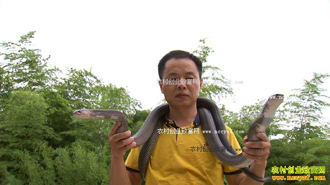 [�¸���]�����¸ɺ�־����������300��Ԫ