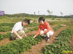 �Ĵ����������û������ֺ������������¸�