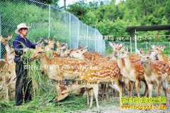 ���Ϲ�����壺��ֳ÷��¹��ũ���¸�����Ŀ