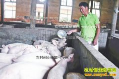 ����������������ֳ600ͷ���������40����Ԫ