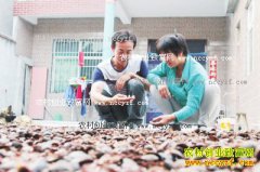 �����Ϫ��ά͢��ֳ��Ԫ������20����