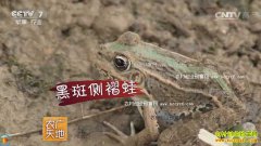 [ũ�����]������ֳ������Ƶ���⴫�����ù�����������