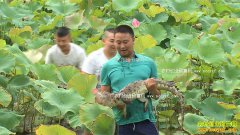 [�¸���]�Ĵ���������������츻����������׬����