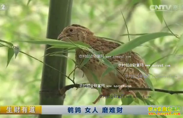 [�����е�]���� Ů�� ĥ�Ѳ�20160811