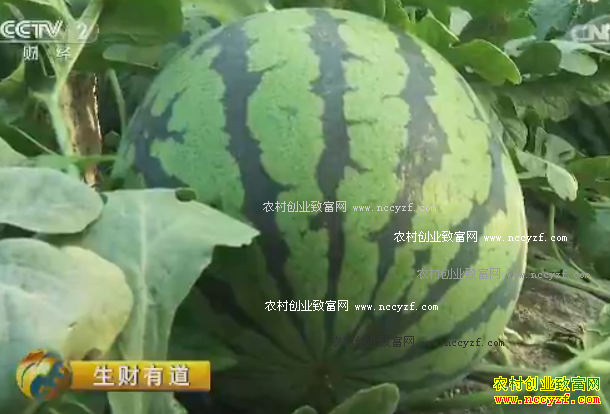 [�����е�]����֮��׬Ǯæ20160817