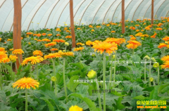 ���������λ���ֲ���޾մ����¸��µ�·