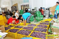 ��������أ���ֲ�������ӳ�ũ���¸�����Ŀ