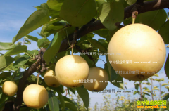 ɽ������������ֲ�����������¸�·