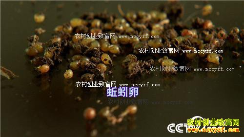 Ů��ʿΪ�η�����������н