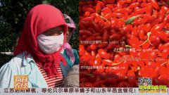 [ÿ��ũ��]�ܵ�ˮ���Եľ�Զˮ�����Ч���