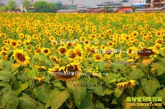 �ӱ����������������Ϳ������治��