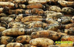 ����ᶼ��ź������Ԫһ�� ͬ�ȼ۸�����ն��