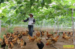 �����Ͼ�Ǯ�Ừ����԰������ ��̬���������