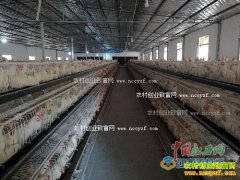 ����Ƽ������Ժ�ϰ��޻���̬��ֳ���뼦���¸�