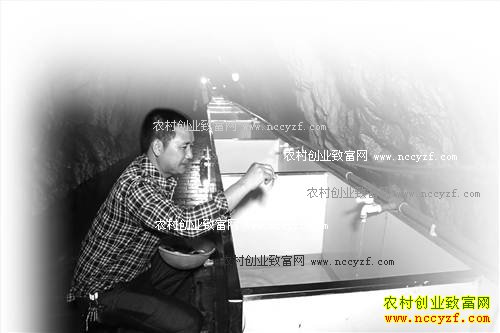 ���챱�������ɷ���������ֳ������