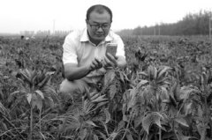 ɽ����������������������