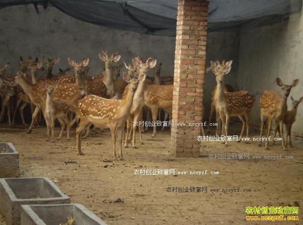 ɽ�������˶�����ֳ÷��¹�����¸�·