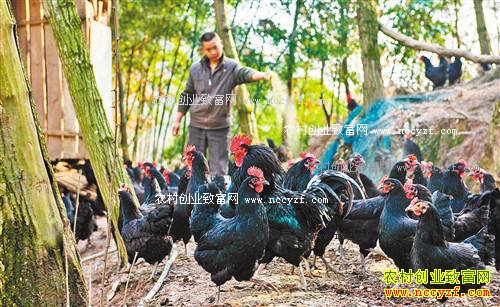 ���ݽ�ɳ����ǿ��������Բ�¸���