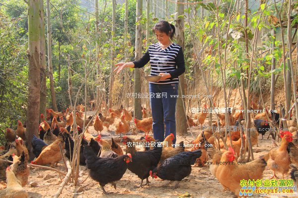 ������������׬Ǯ������Ҫת����������