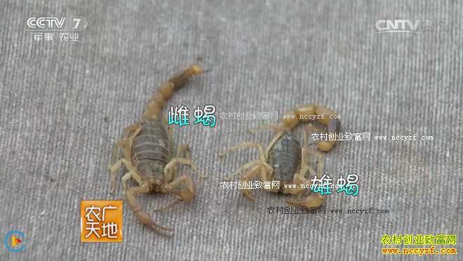 [ũ�����]��ʽ��Ы