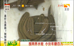 �¸��ð����������Ƹ���ΰΧ����ˮ����׬����