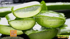 [ũ�����]����������«�����༼����Ƶ