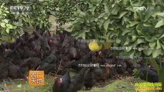 [ũ�����]����԰������ܡ�������ѭ��ũҵģʽ