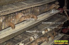  �½���³ľ��¸���麣�Ʒ���������������4000Ԫ