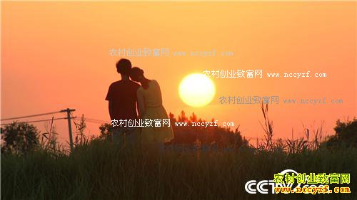 ���ɫ�ĲƸ�