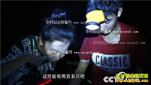 ���ɫ�ĲƸ�