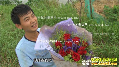 ���ɫ�ĲƸ�