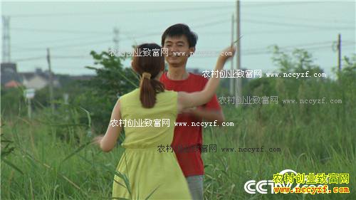 ���ɫ�ĲƸ�