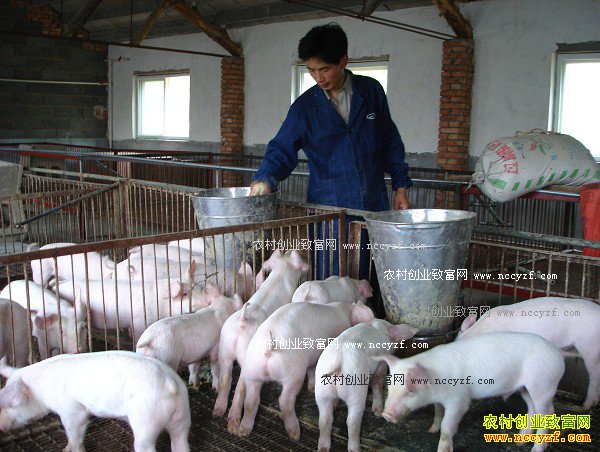 ������ˮ����Ԫ��������ƶ��