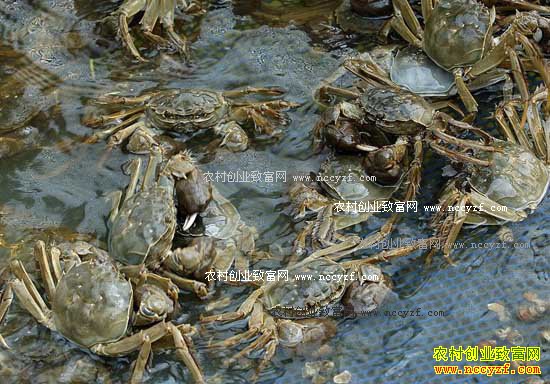 ����������������ֳ��բзߵ���¸���