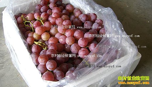 �����������ѣ����Ѽ������ر��ʷ���