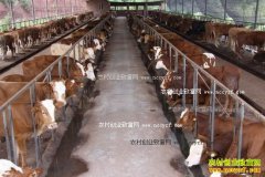 ��ֳ30ͷ��ţ��ҪͶ�ʶ���Ǯ��Ч����٣�