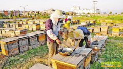 ���Ͻ���������С���ֵ���ɽ����������50����