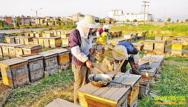 ���Ͻ���������С���ֵ���ɽ����������50����