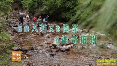 [ÿ��ũ��]��ɽ�Ѱ����ݡ�������������̼�