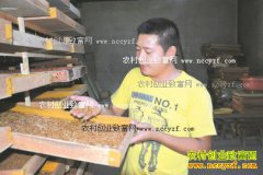 �Ĵ���̨�����η�����ֳ�Ʒ۳�һ�괿׬����Ԫ