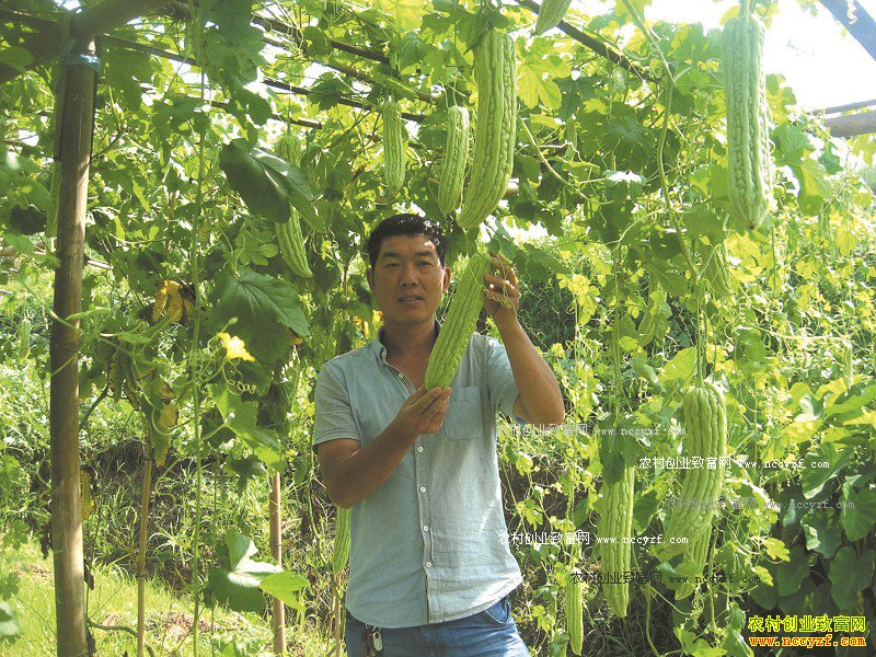 �Ĵ�������ΰͥԺ�ֿ��������3000Ԫ