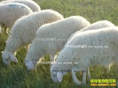 ɽ�������ع�����μ��������ζ����