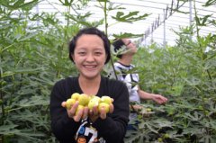 ɽ�����ݣ������޻���������Ч���