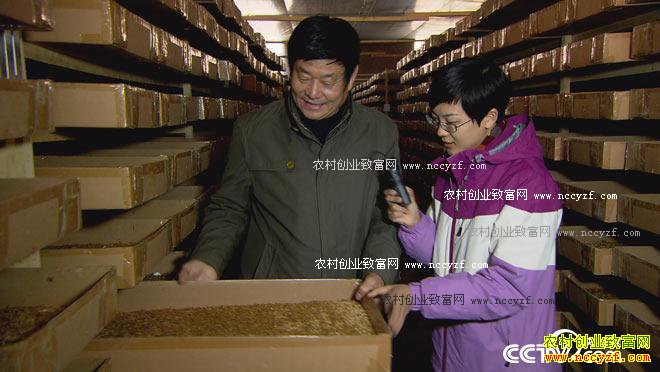  [��ɫʱ��]���������ı����Ƹ� 20160827