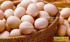 2016�������ǰ�����۸�����Ԥ��