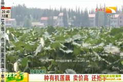 �¸��ð�����Ѽ����ֲ�л���ź ��ź���۸�