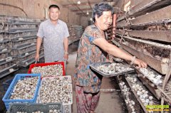 �½�����������ֳ��������30��Ԫ