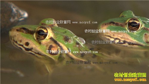 �¸��������˵ĲƸ����ɽ�