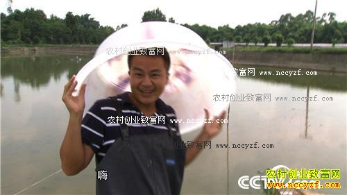 ���˵ĲƸ����ɽ�